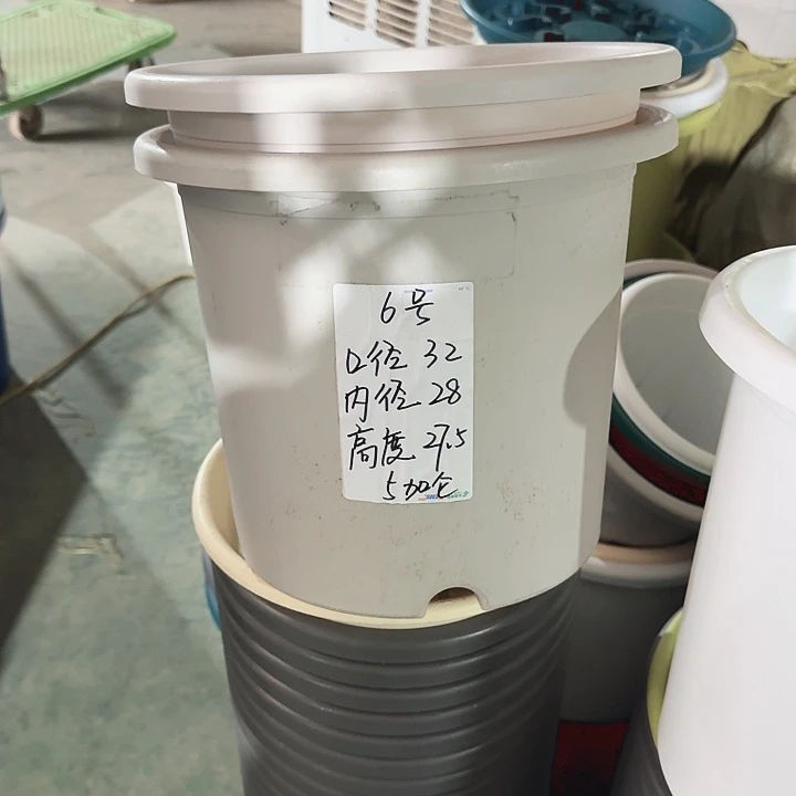 四季6#口径32灰白5个无托