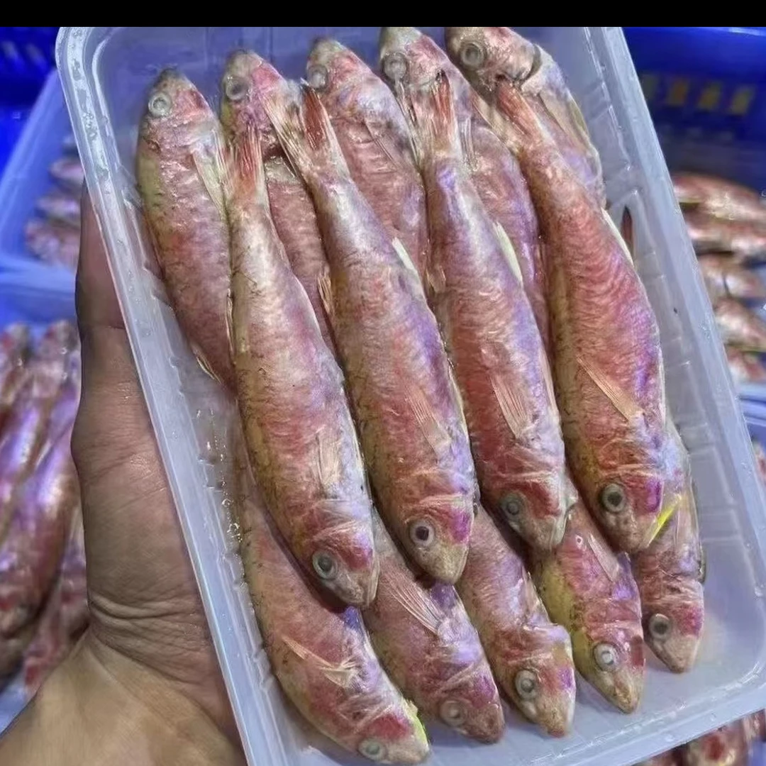 汕尾本港正红鱼香煎酥脆下饭美味海鱼