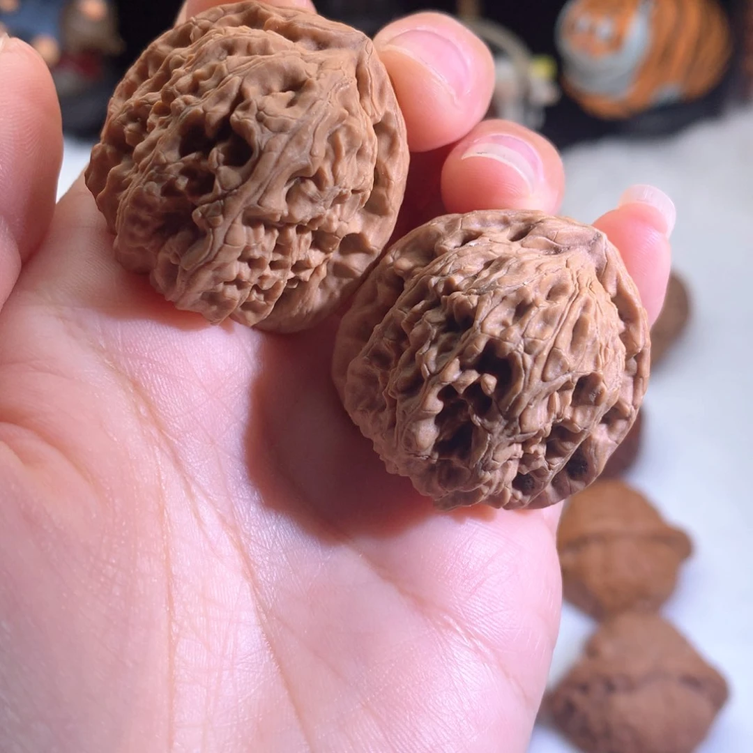 核桃33小白狮子，全品