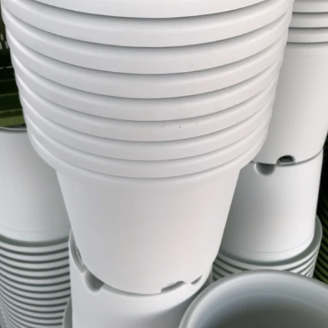 树脂25奶白无托6个