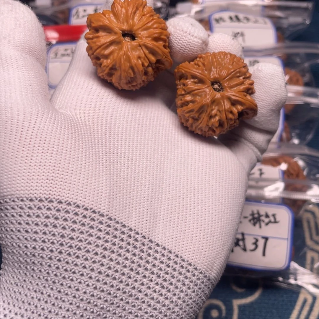 一**人38蛇王！！！！！！！！！！！！！！