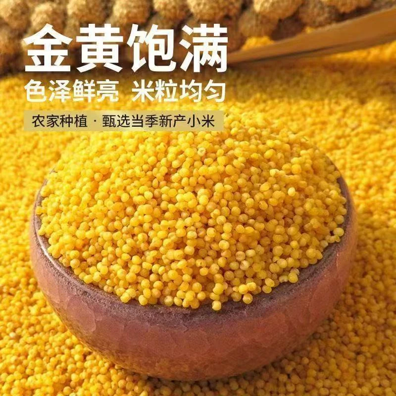 幼鸟虎皮鹦鹉专属秘制配方鸟粮3个月的量