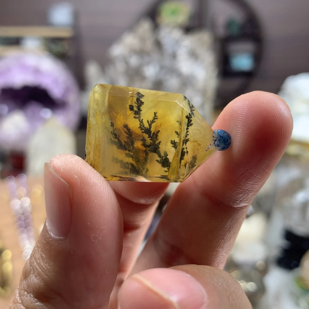 黄胶花小树未镶嵌水晶