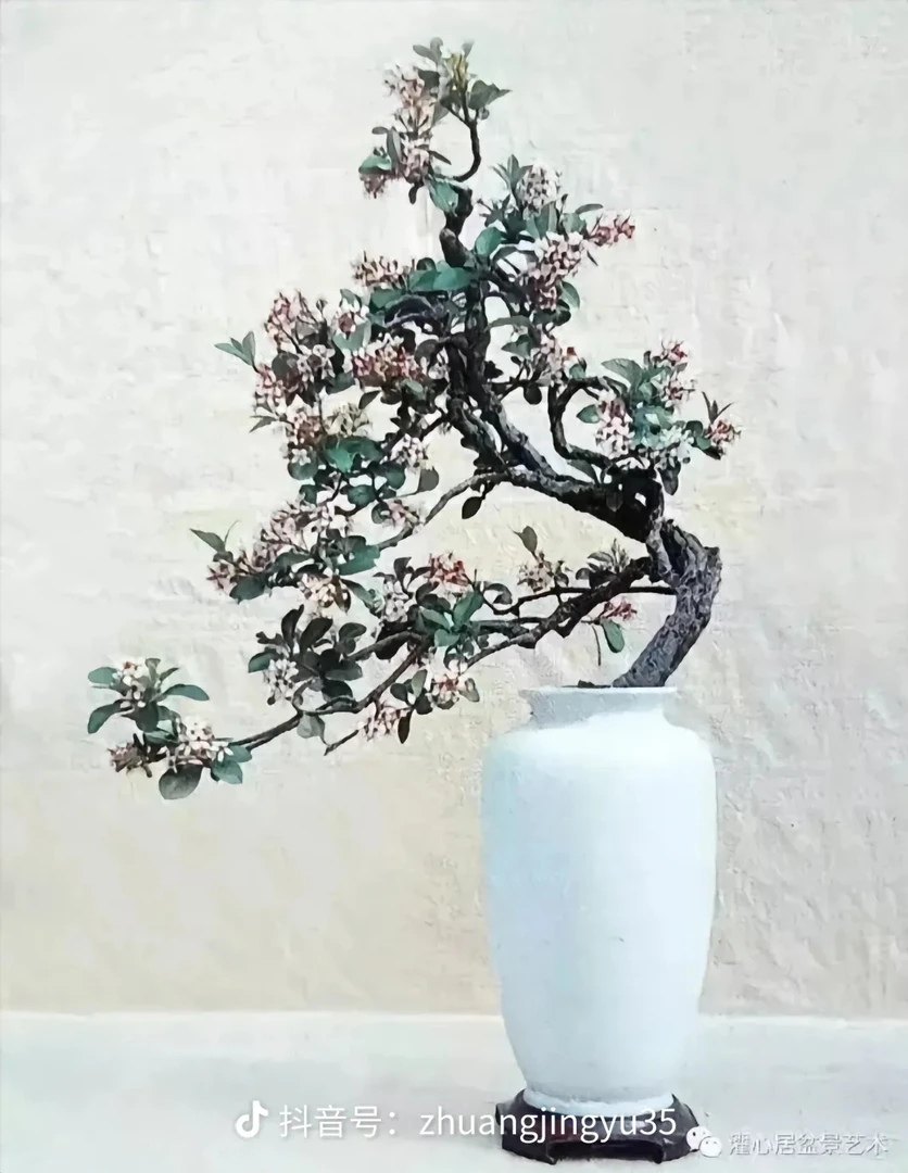 小叶勒竹，春花，栀子花