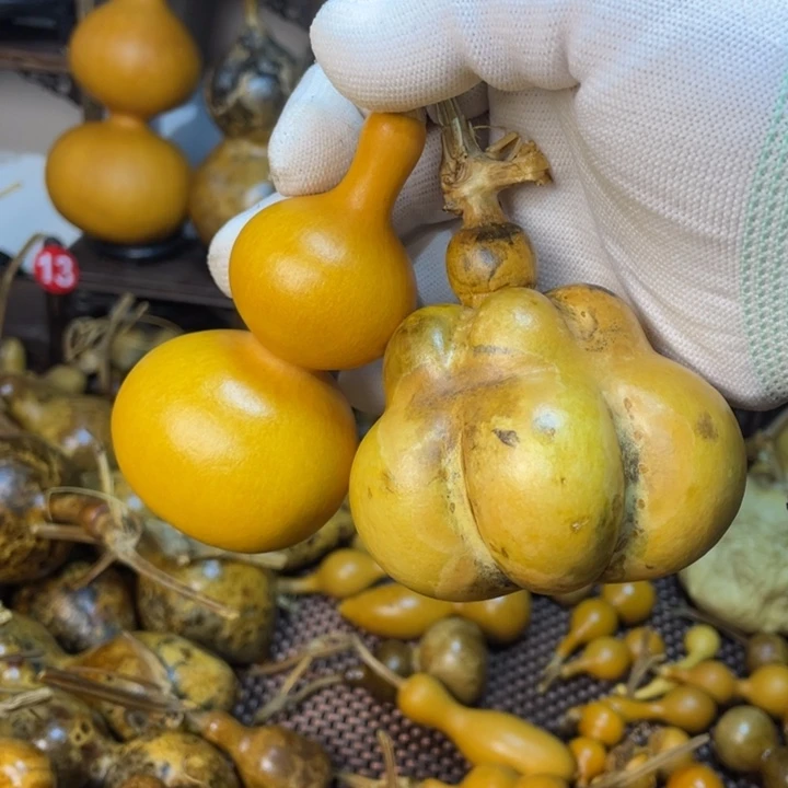 花开富贵人天降大任于是我在