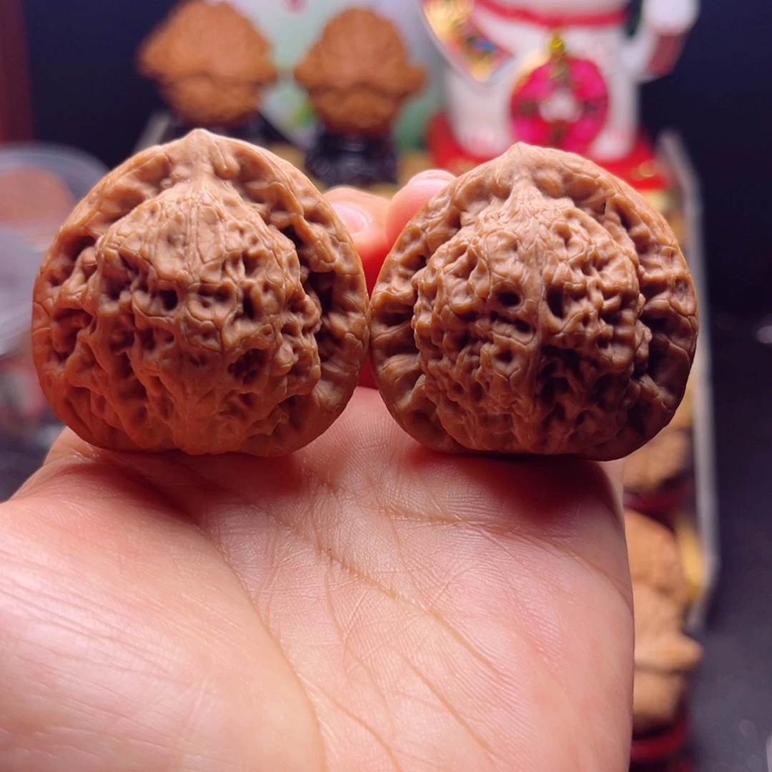 大叶紫檀（黑酸枝木类）全品货头金公子