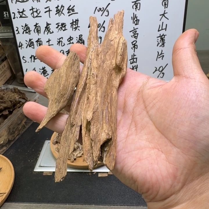 履***者海南土沉虫漏20克