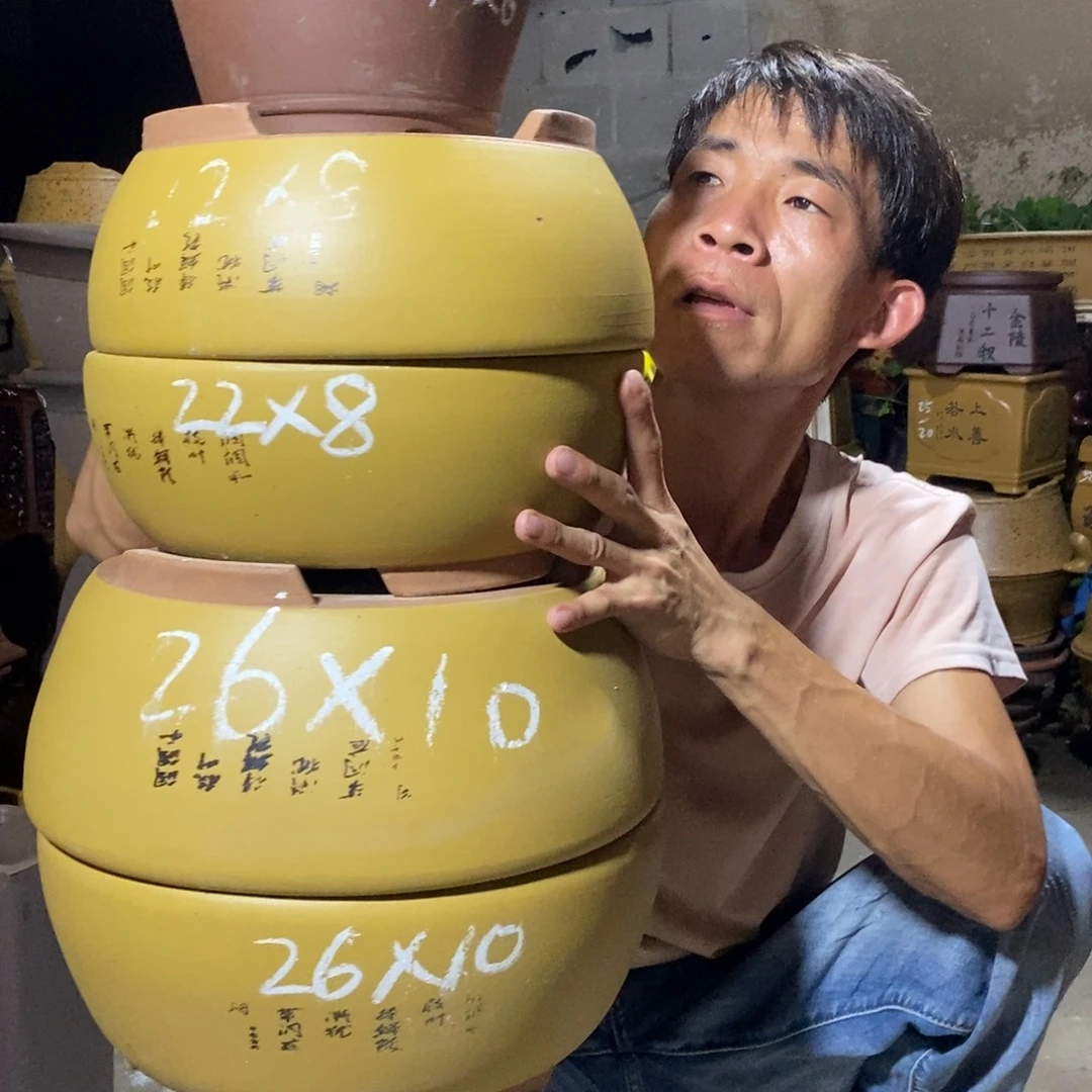 紫砂紫砂紫砂紫砂