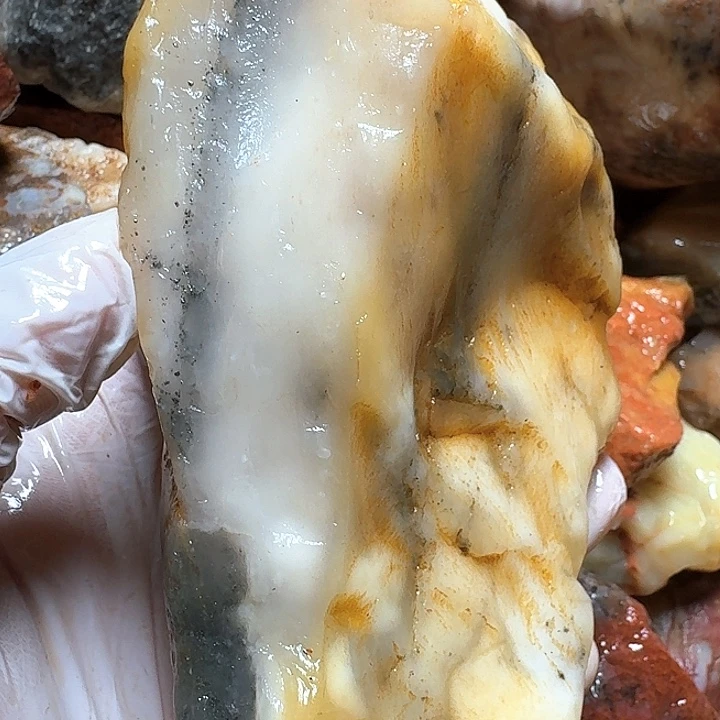 寿山石寿山石的颜色