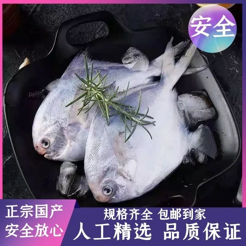 一斤5条 正宗东海野生捕捞银鲳鱼白鲳平鲳（1斤1包）到手净重5大斤
