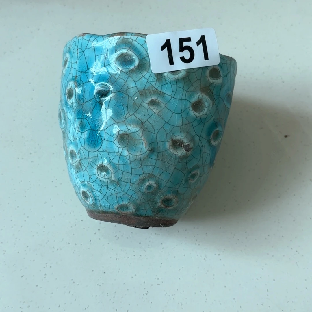 许纯的花房 孤品151