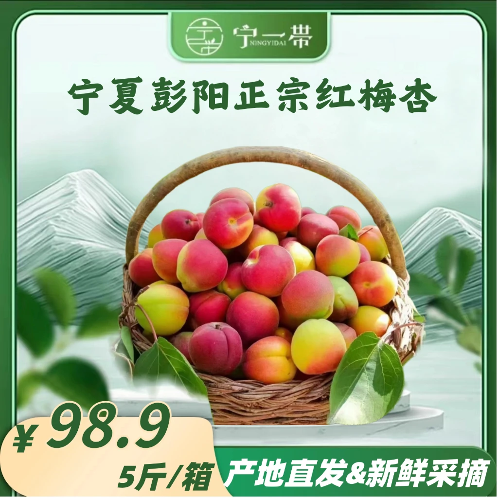 宁一带 | 红梅杏（宁夏省外5斤）彭阳头茬当季新鲜水果口感脆甜多汁