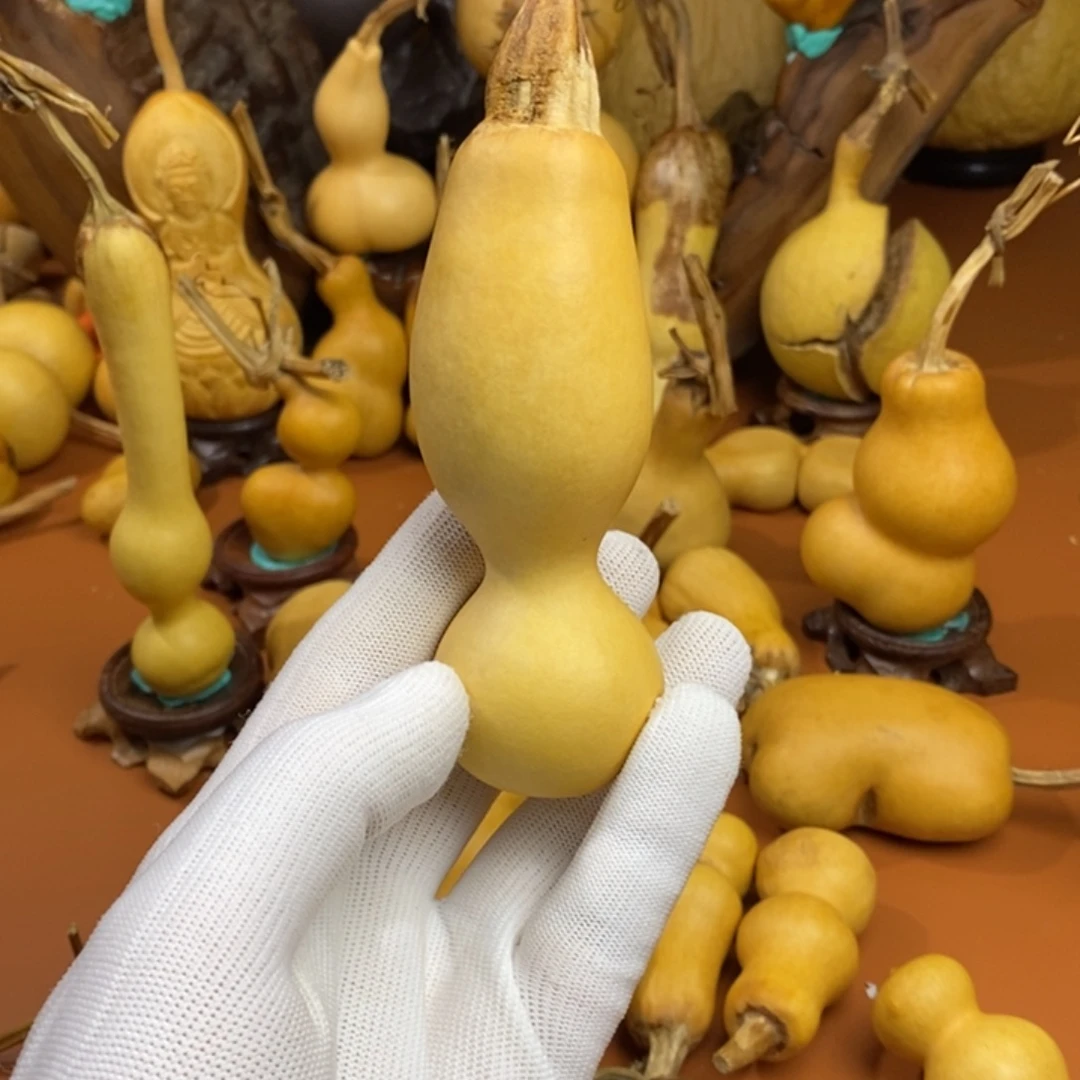 文***玩教练咯教练教练好教练