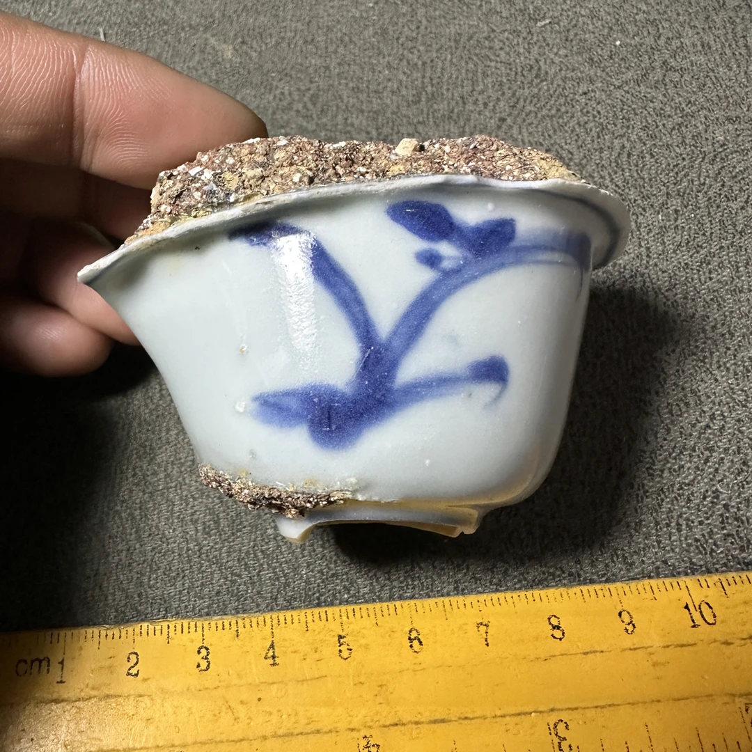 万青花兰草杯子瓷片标本