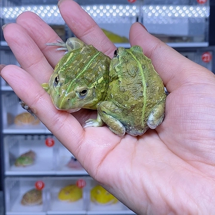 特价秒杀现货特价残