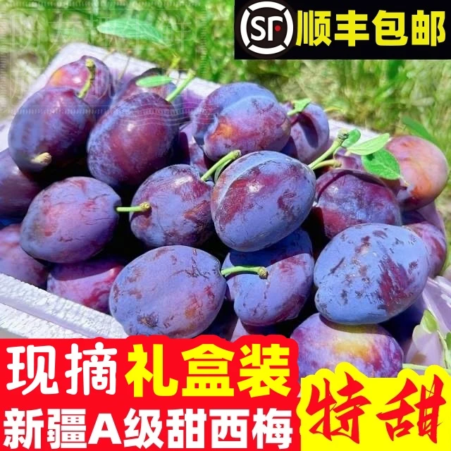 【顺丰包邮】新疆大西梅当季孕妇水果新疆蓝密西梅鲜果整箱大果