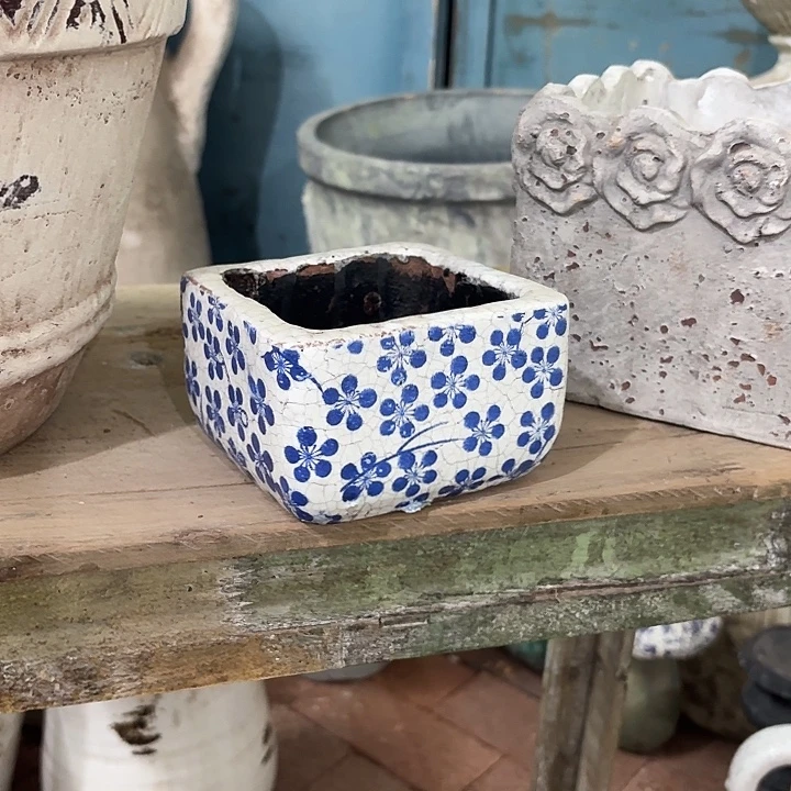 双****许纯的花房 梅花 四方