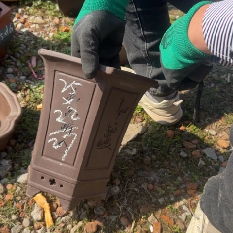 紫砂花盆紫砂花盆盆景盆栽