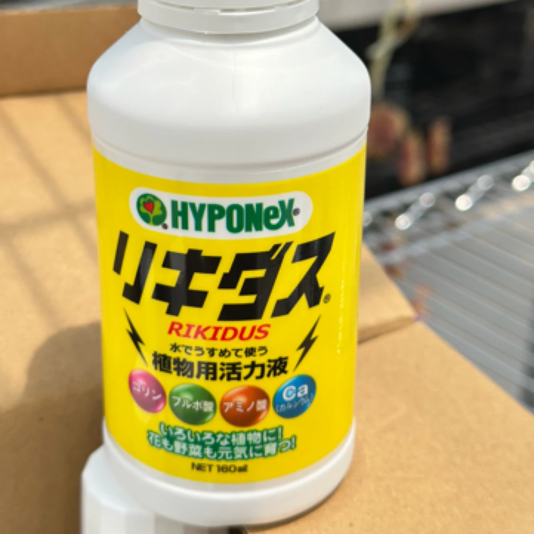 花草情抒精选活力素：赠送吸管