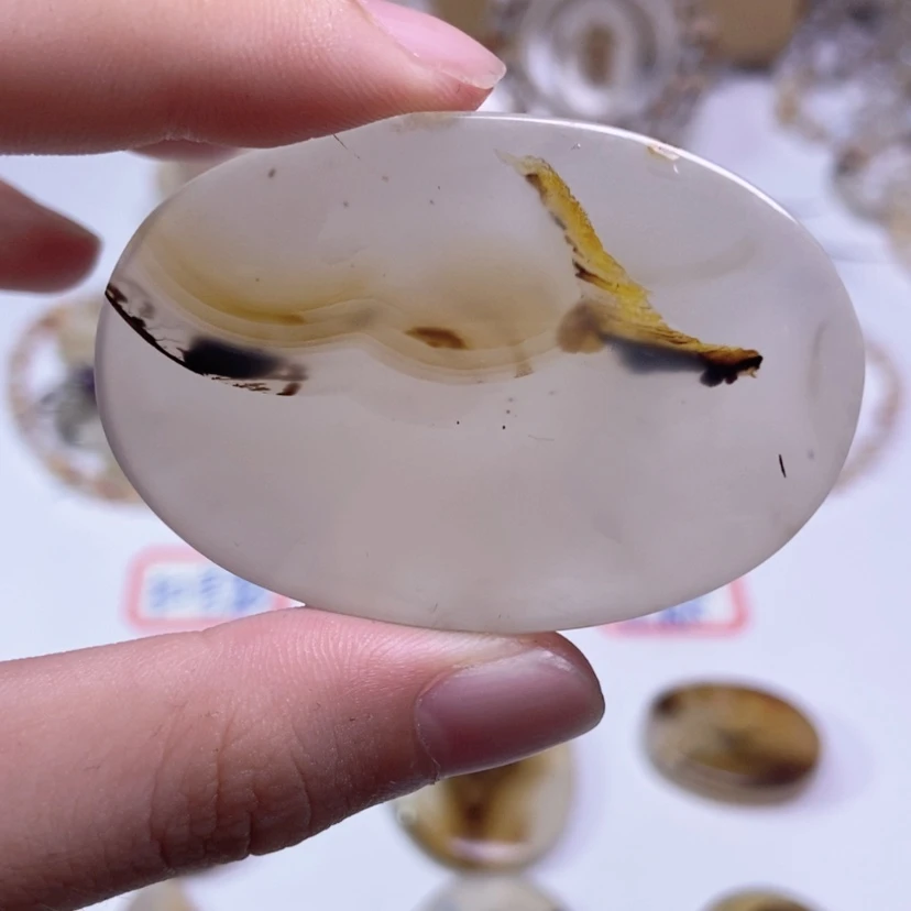 【闪购商品】玛瑙/玉髓颈饰合金