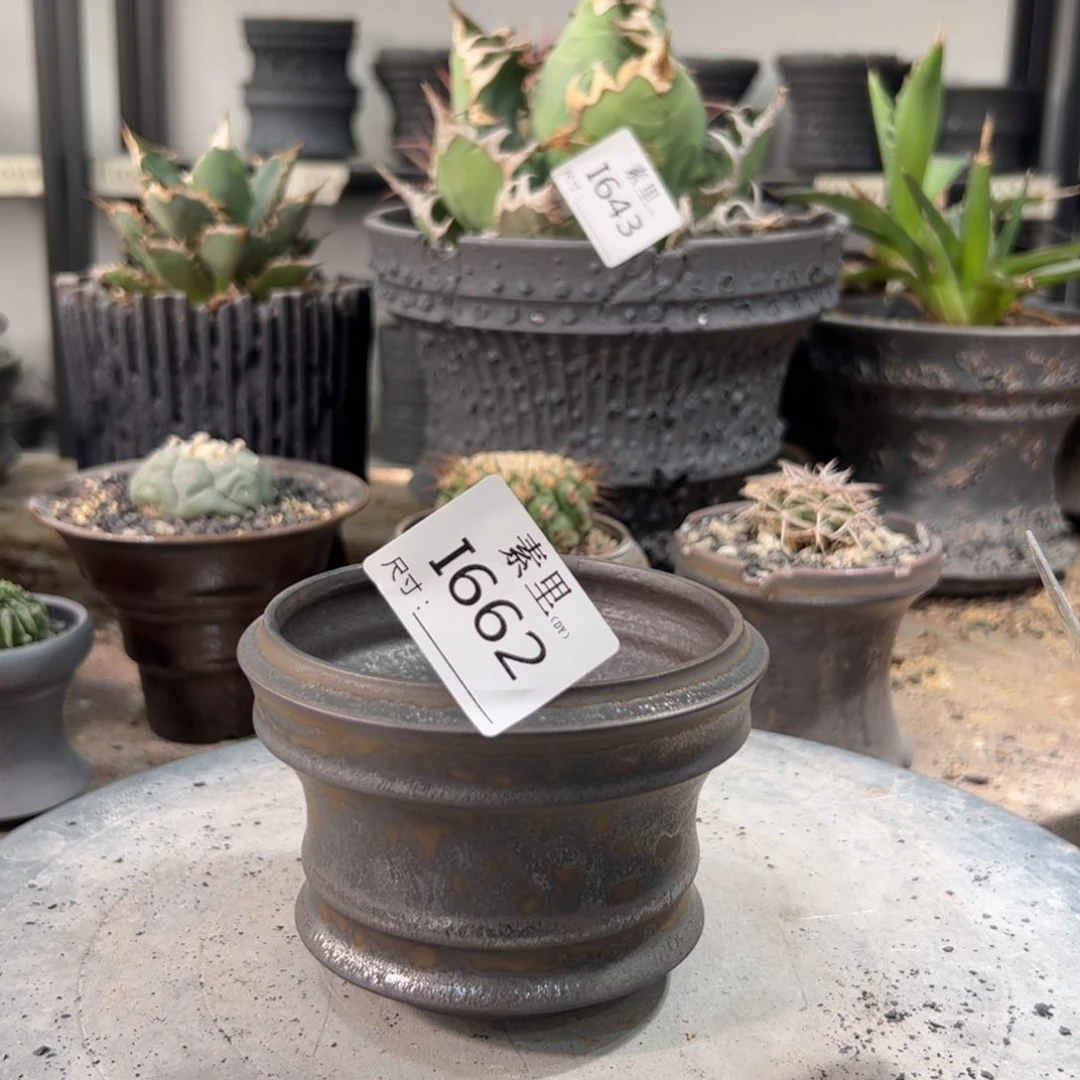 景德镇手工素里内口9.5高8