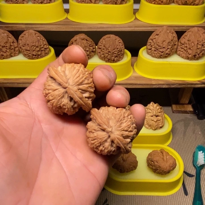 核桃43全品球白。。。。。。