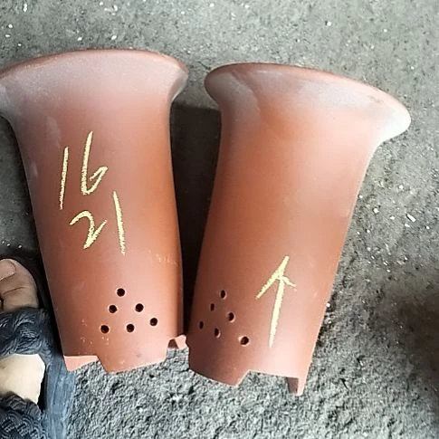 小红兰花两个微瑕个