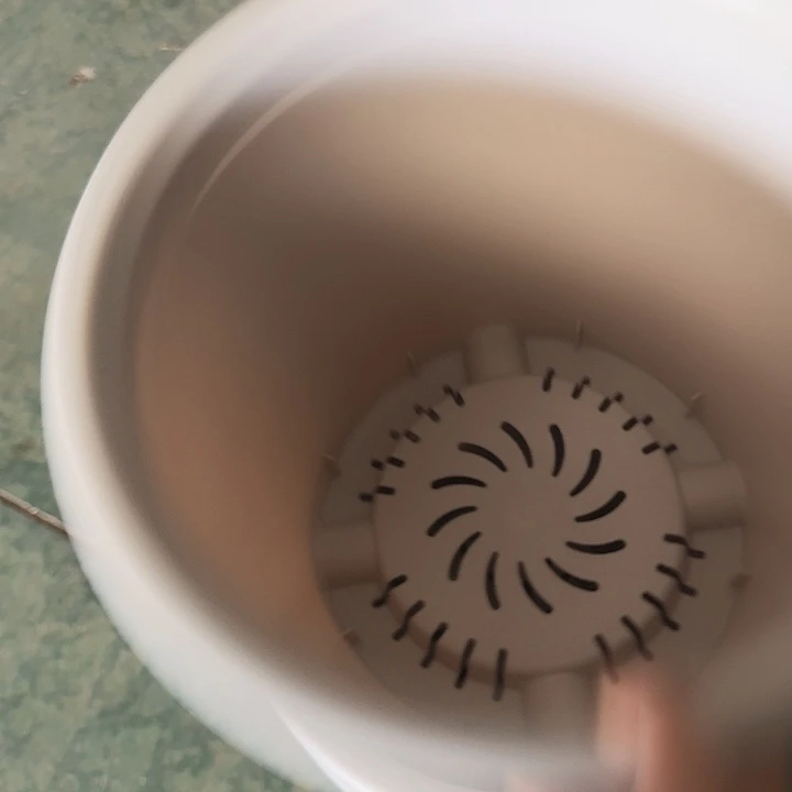 四季8号灰白无托5个特价微瑕
