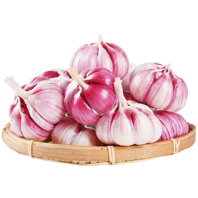 BC/热宝云南新鲜现挖紫皮湿大蒜头糖醋蒜腊八蒜2/3/5/斤