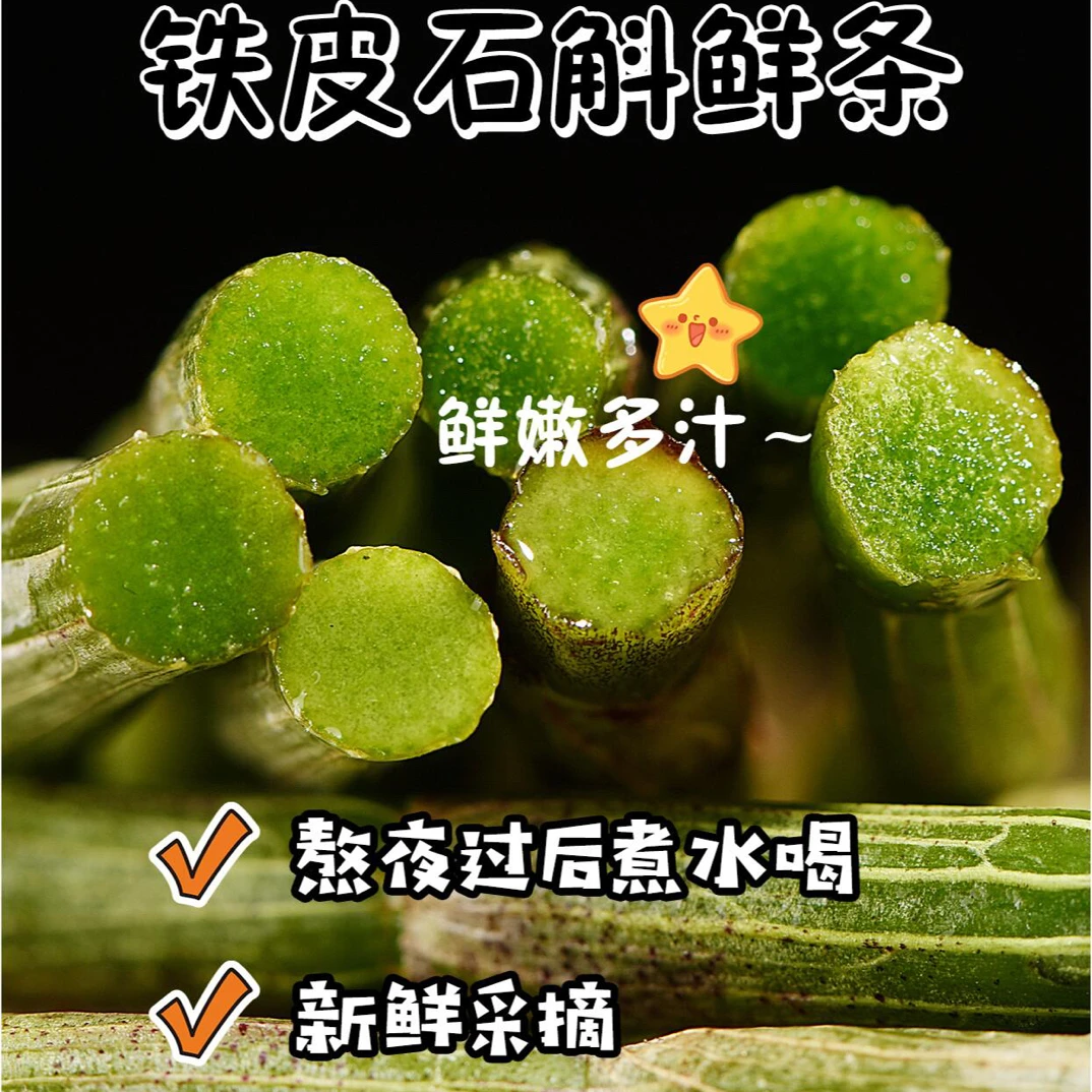 云南铁皮石斛鲜条石斛铁皮石斛