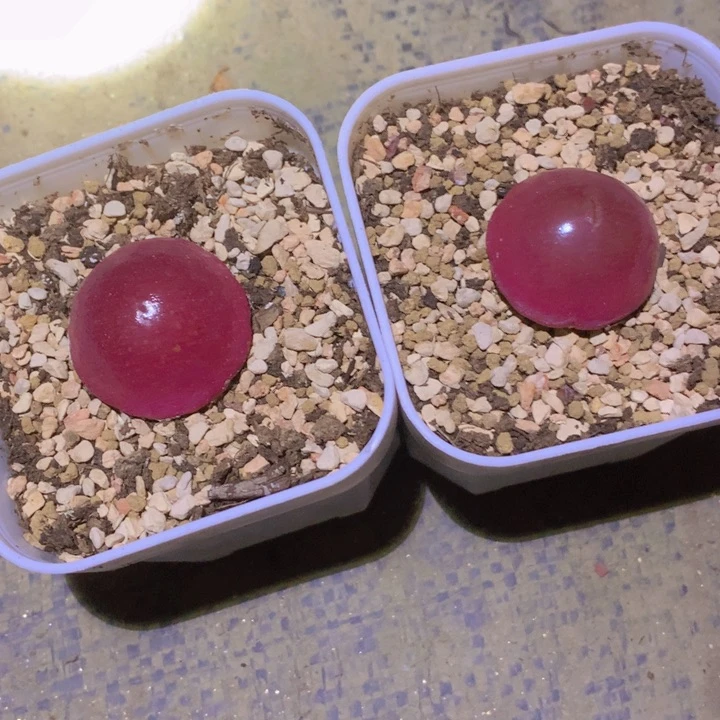 48999999896996998896896888