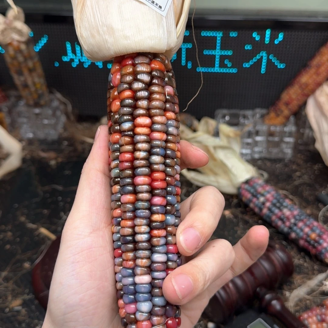 柏香籽/百香籽吊坠麦*洛