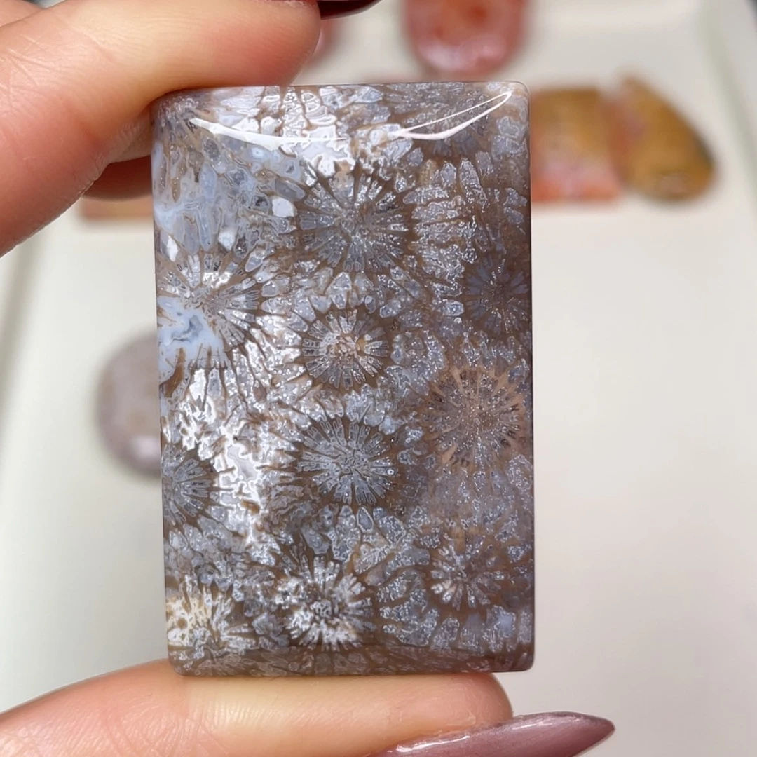 【闪购商品】未镶嵌吊坠(赠链)硅化玉