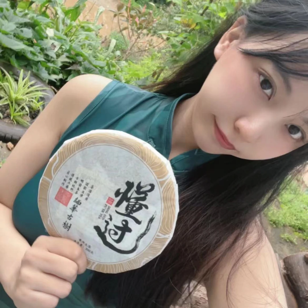 缅华古树懂过2024年头春古树头春头采生茶紧压茶（200g）