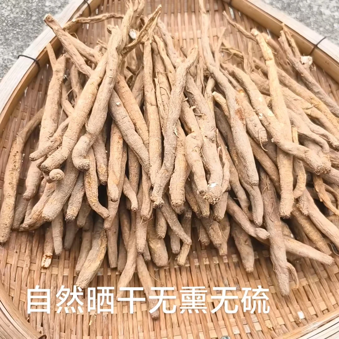 现收阿坝藏民土货当归 炖汤炖鸡煮水煮蛋炖肉超香