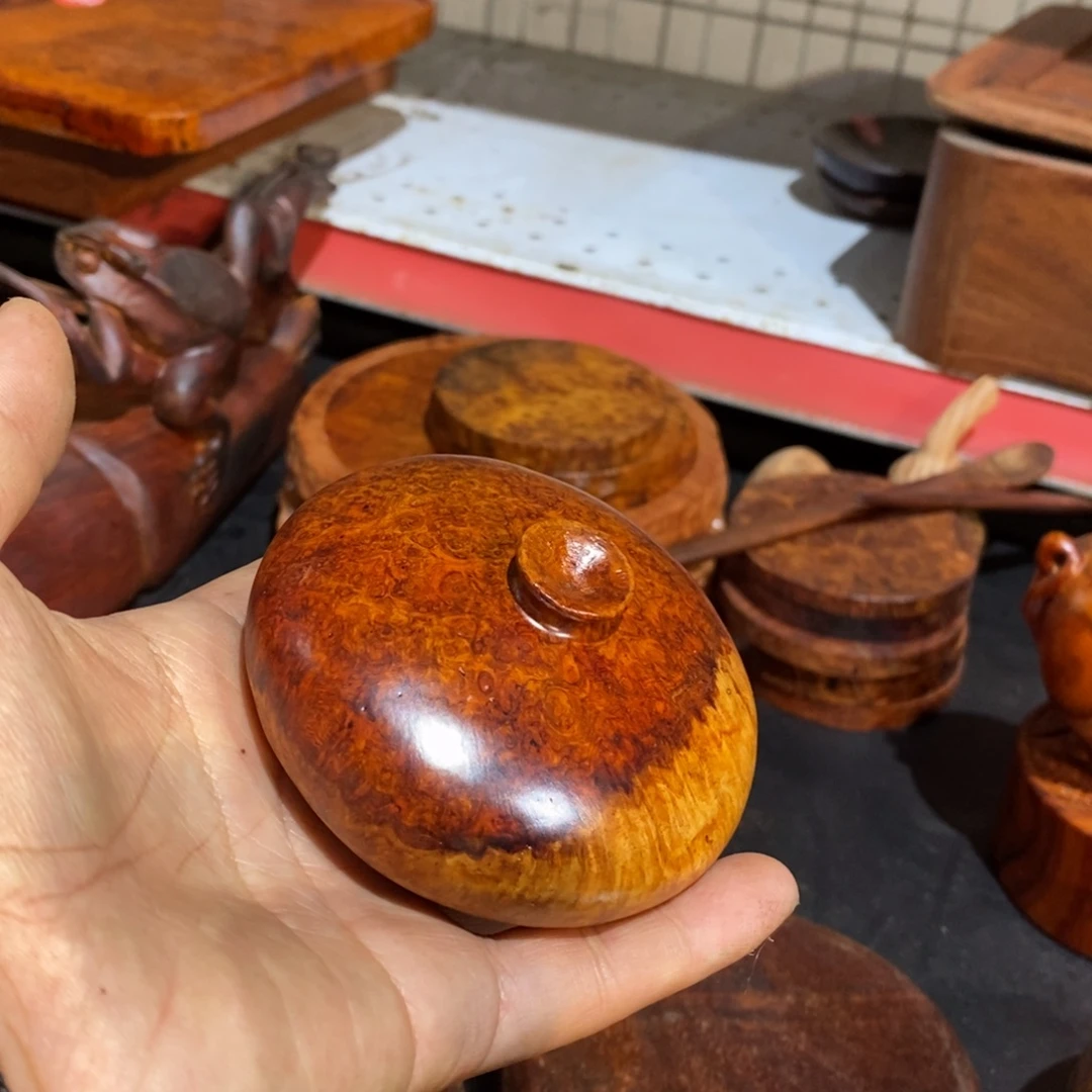 海***鱼宝瓶一个特价包邮