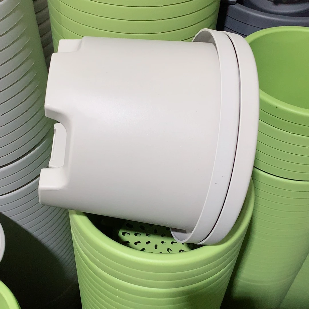 球根口21灰白5个带托