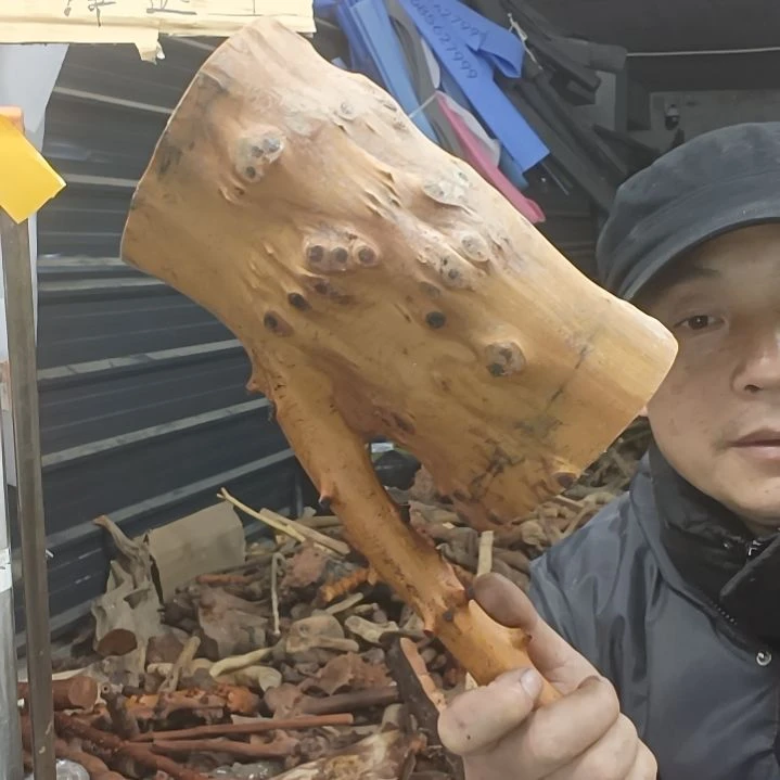 稳定木祥*贵州檬子木   铁马鞭   根艺  半成品