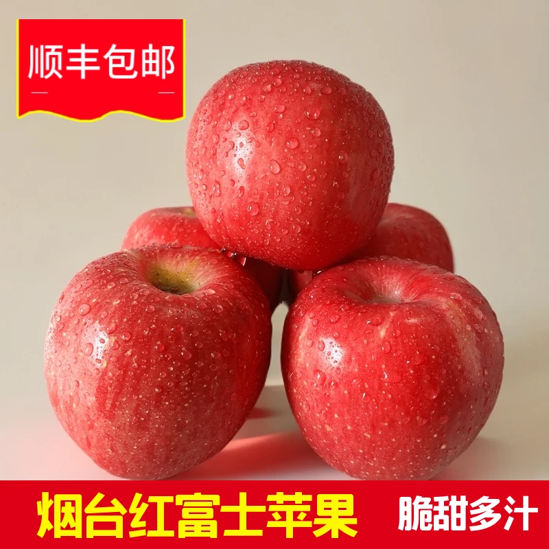 【王掌柜】山东 烟台苹果 红富士 5斤装