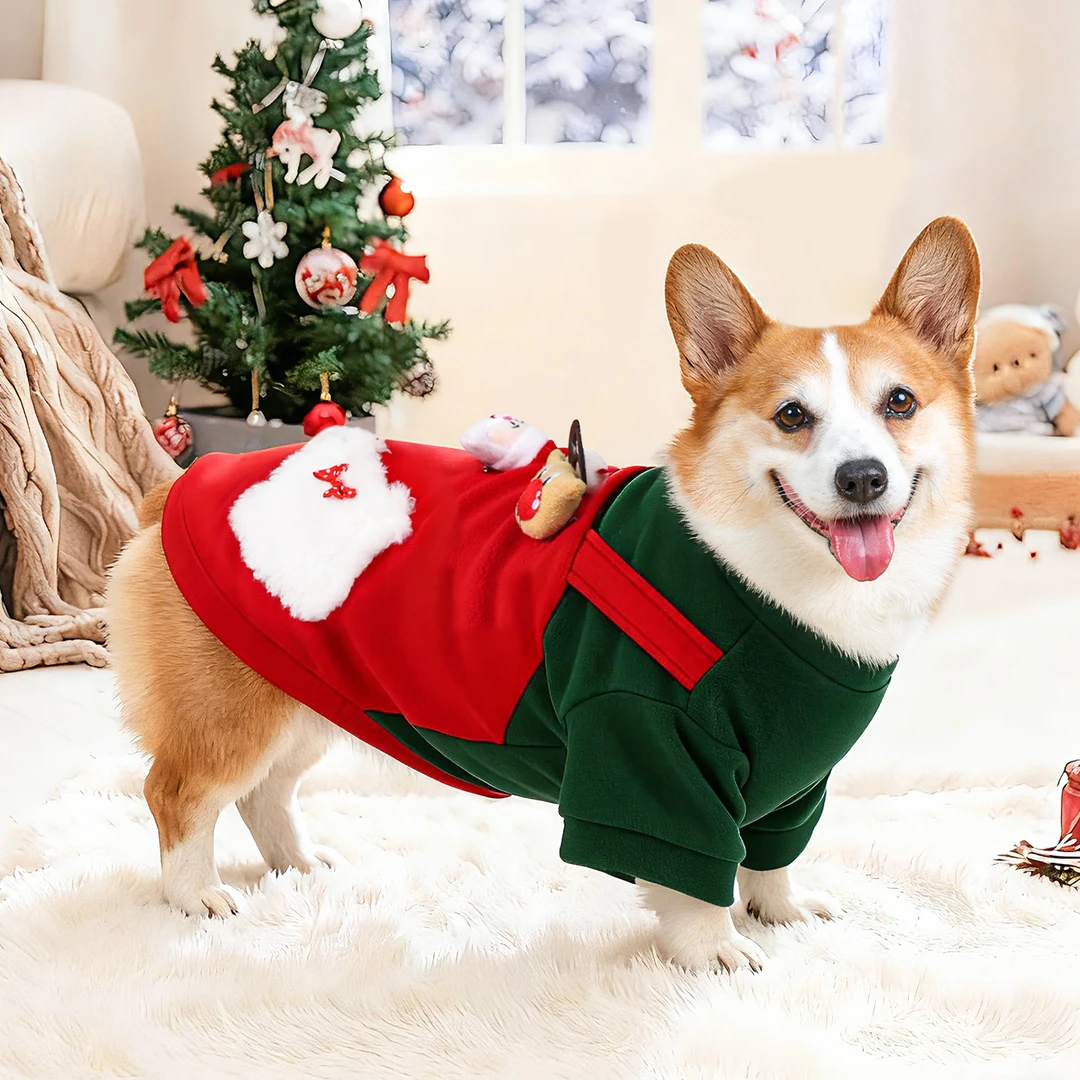 宠物衣服狗狗冬天圣诞衣服2025新款冬装柯基泰迪新年卫衣中型犬冬