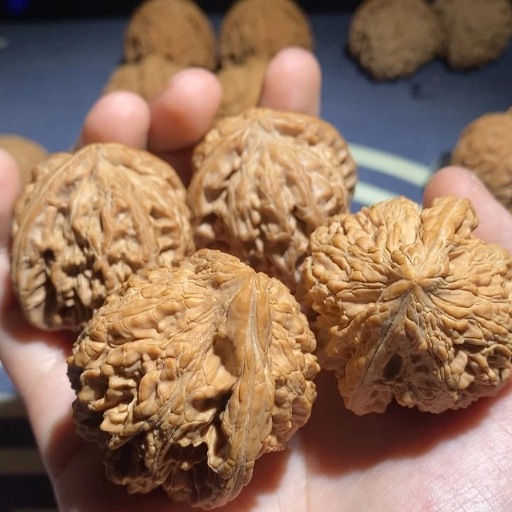 情****吊坠文玩核桃白狮子大沽石