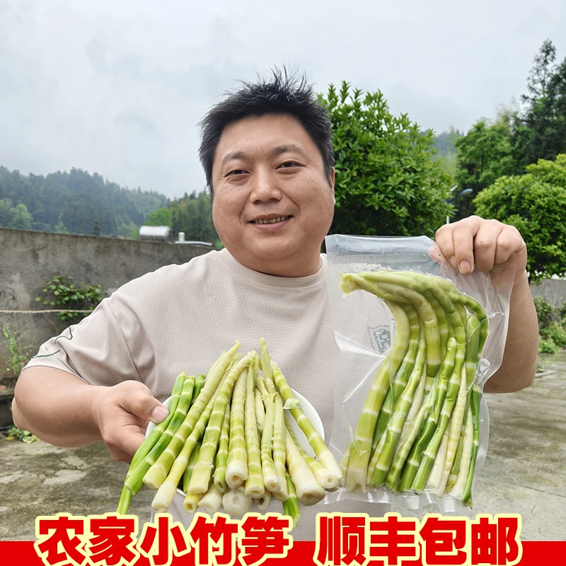 新鲜小竹笋带壳去壳可选多种笋类顺丰包邮