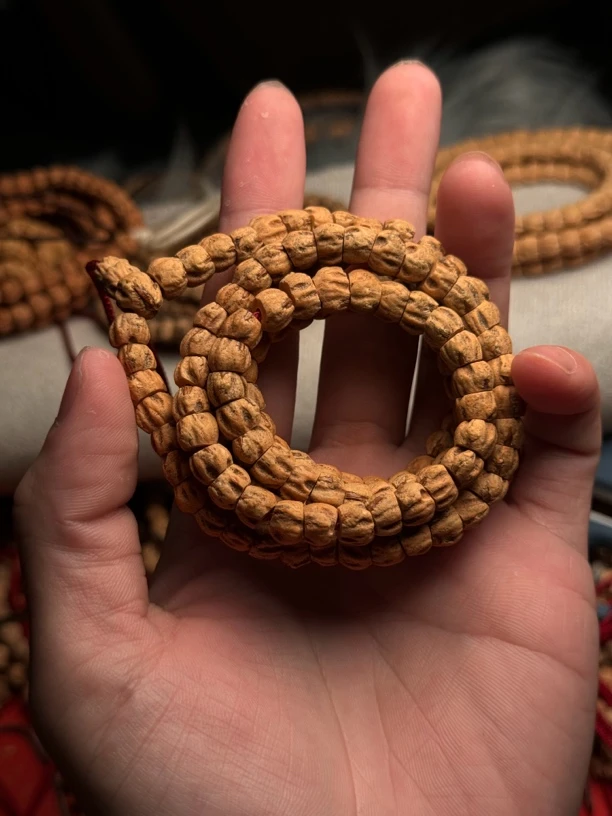 热振柏香籽红芽肉肠斜切尺寸8这样