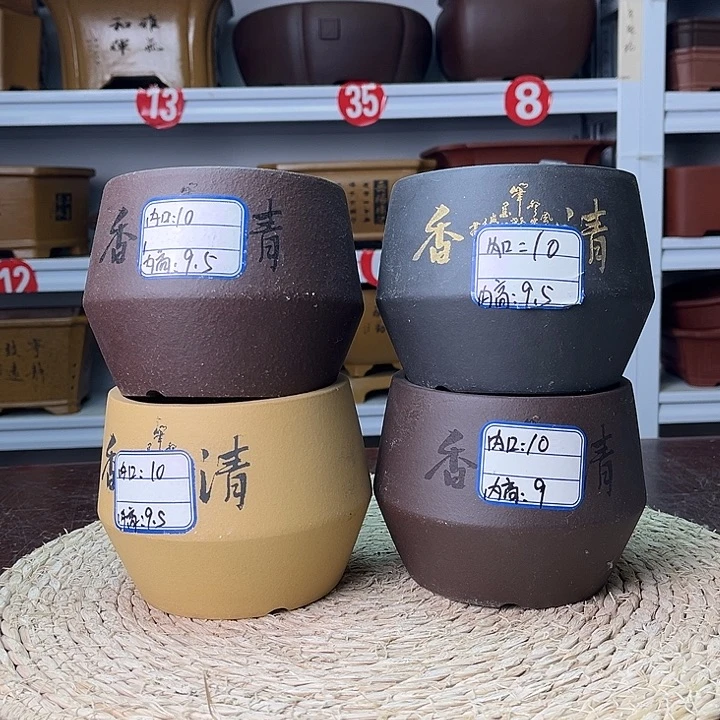 紫砂花盆你在一起