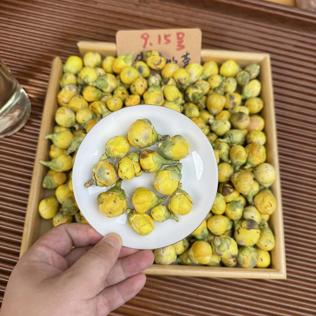 头采花苞冻干金花 朵朵肥嫩 原生老树品种 冬青收茶