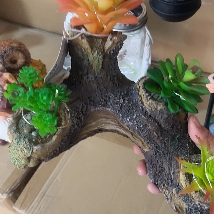 盖碗样品样品样品多肉树桩