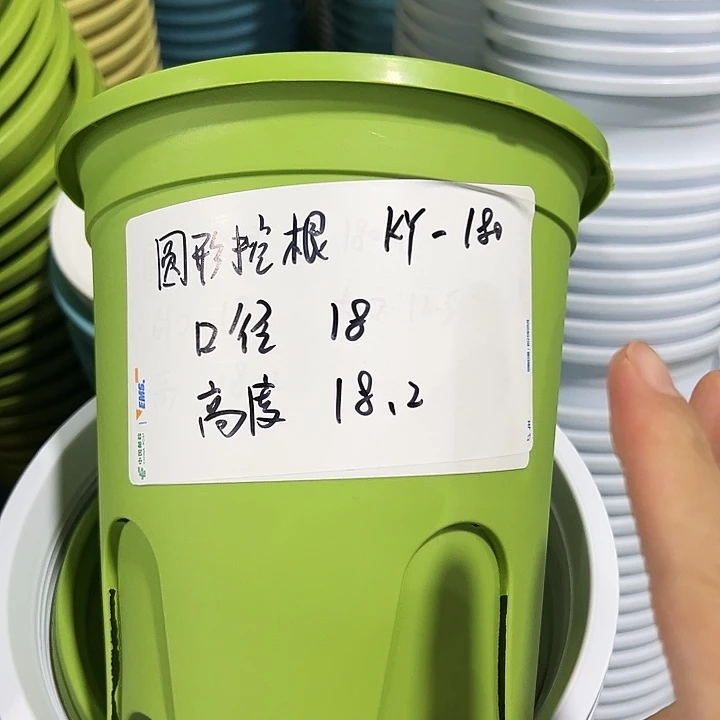 正品圆控口18高18果绿色无托8只