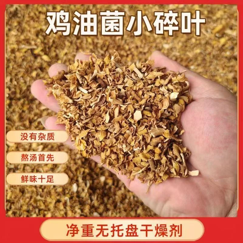鸡油菌碎片干货无根榆黄蘑碎片包饺子专用煲汤碎农家干香菇小碎片