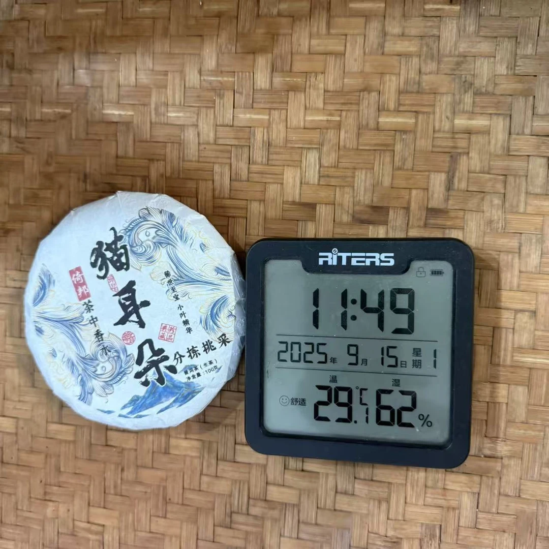 2025年倚邦猫耳朵分拣挑采古树普洱生茶饼100克GY2号9月15日