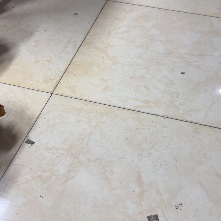 用***5嘻哈多肉花盆百搭